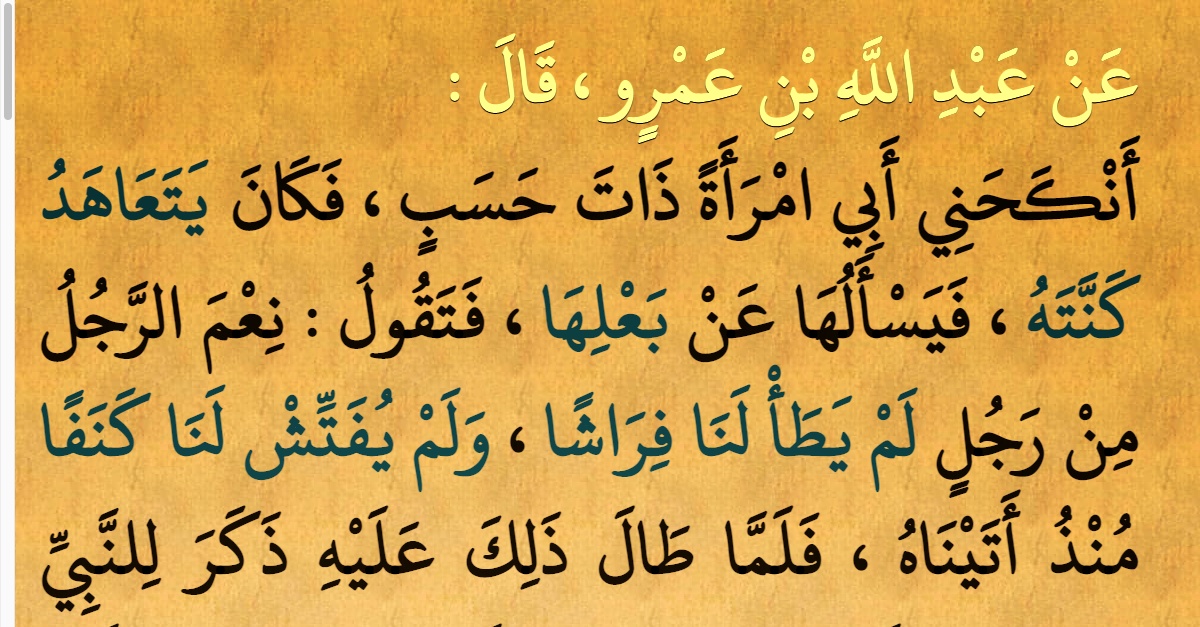 صحيح البخاري : شرح حديث رقم 5052 | صفحة 2292 | كِتَابُ فَضَائِلِ الْقُرْآنِ